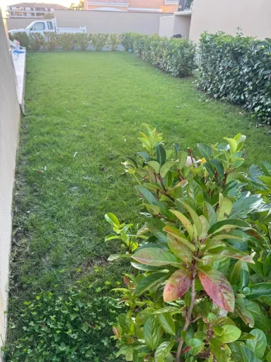 Engazonnement et arrosage automatique en Haute-Corse, Lucciana, O.F Jardin