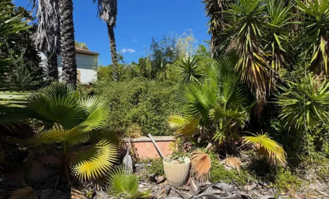 Remise en état, Lucciana, O.F Jardin