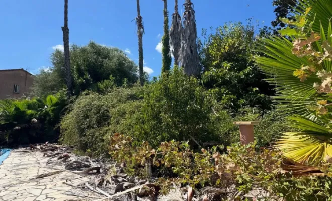 Remise en état, Lucciana, O.F Jardin